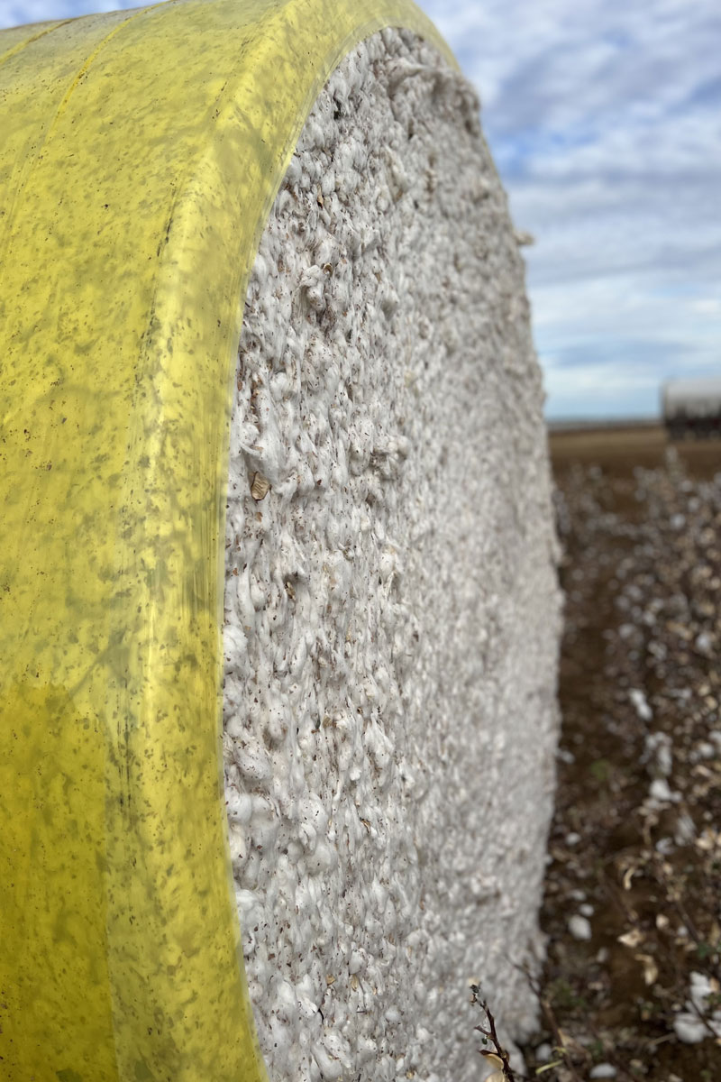 Bale of cotton