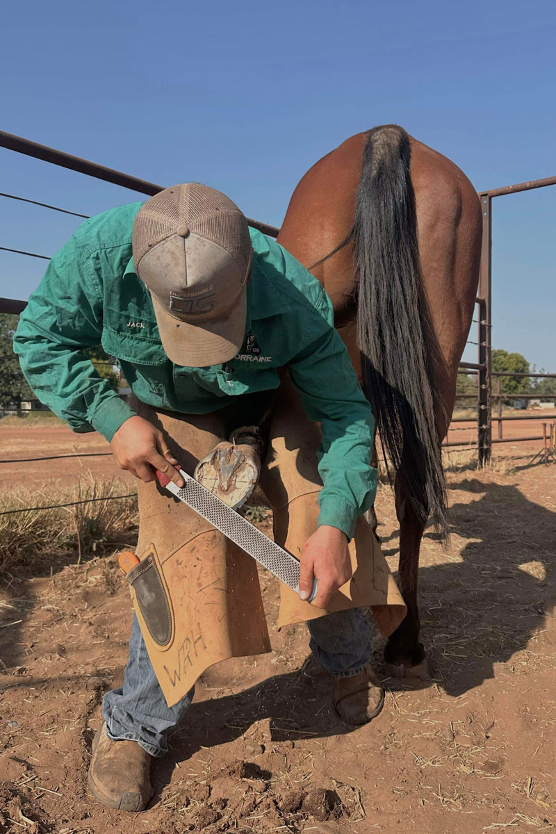 Horse shoe repair