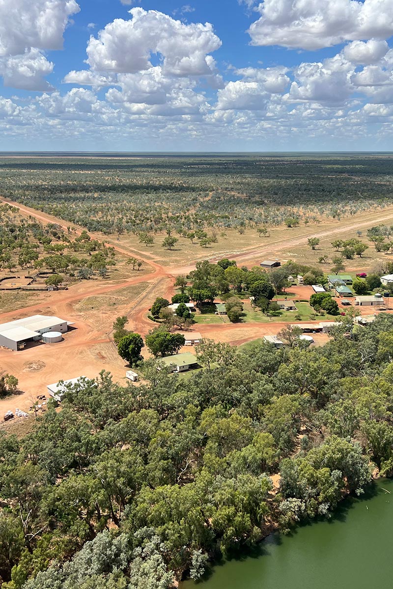 Loraine Cattle Station